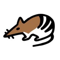 Bandicoot Advisory