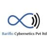 Bariflo Cybernetics Private Limited