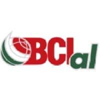 Battery Concepts International Mexico