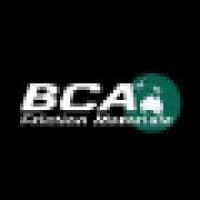 BCA Friction Materials