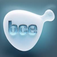 BCE TECHNOLOGY INC