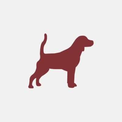 Beagle Brand