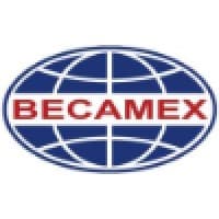 Becamex IDC