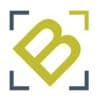Beltrees Consulting Services