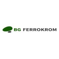 BG Ferrokrom