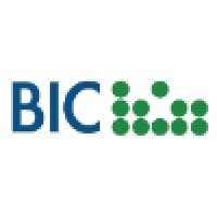 BIC Consulting USA, Inc.