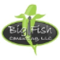Big Fish Consulting, LLC