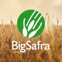 Big Safra