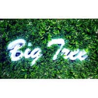 Big Tree Resource