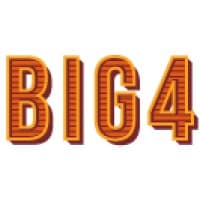 Big 4 Accounting Firms