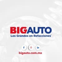 BIGAUTO