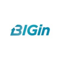 BIGin Digital Solutions