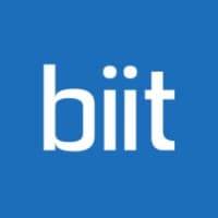 BIIT Consulting