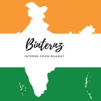 Binternz