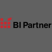 BI Partner Ltd