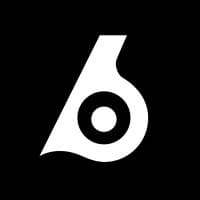 Birdeye Data