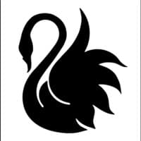 black swan holdings