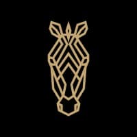 Black Zebra Events
