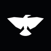 BLACKBIRD.AI