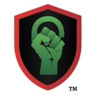Blacks in Cybersecurity
