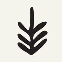 Blacks Outdoor Retail Limited