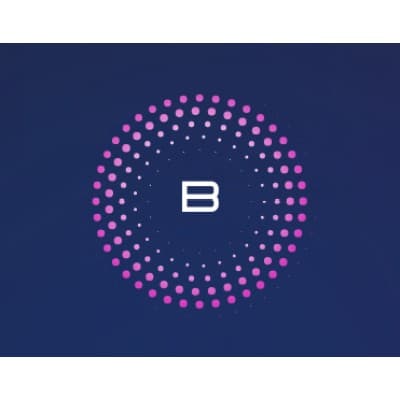 Blockchain Consulting & Assurance Pte. Ltd.