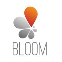 bloom consulting group