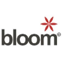bloom egypt