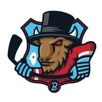 Bloomington Bison Hockey Club