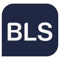 BLS Company - Consultoria Empresarial e Outsourcing