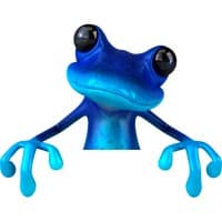 Blue Frog Software