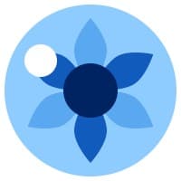 Blue Iris Labs