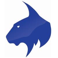Blue Lynx | Technology Solutions