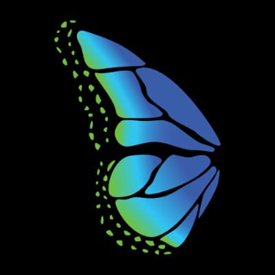 Blue Monarch Management