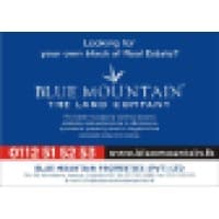 Blue Mountain Properties