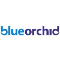 blue orchid