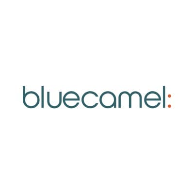 Blue Camel Design LLC