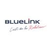 BlueLink International CZ
