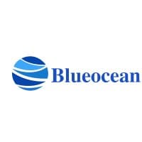 BlueoceanDigital India Private Limited