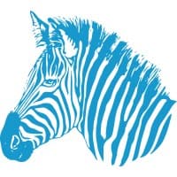 Bluestripe Group