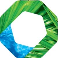 BMS Consulting