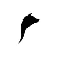 Boca do Lobo