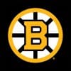 Boston Bruins
