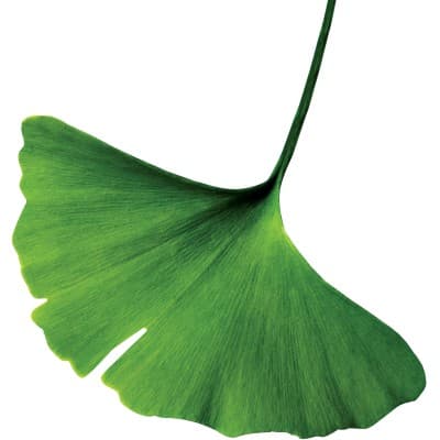 bowergroupasia