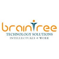 Braintree Technology solutions LLC