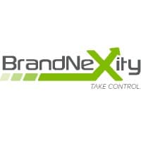 BrandNexity Commerce Group, Inc. D2C eCommerce Consulting