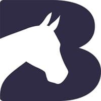 Bransby Horses - Rescue and Welfare