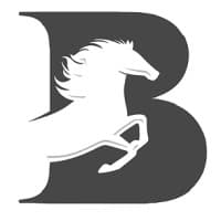 Bravelson Engineering Limited