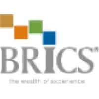 Brics Securities