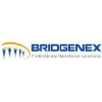 bridgenex